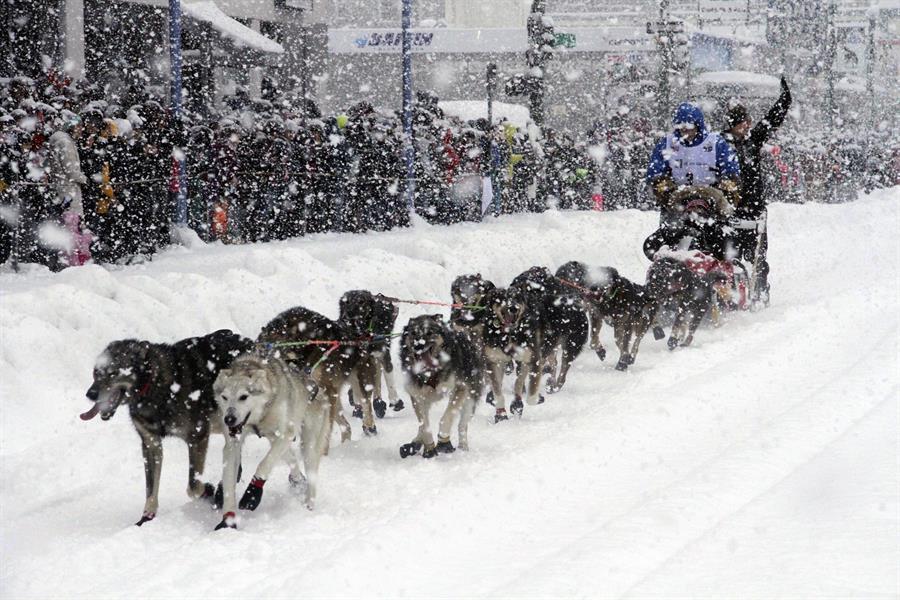 Iditarod dogs pack for traditional Alaska race