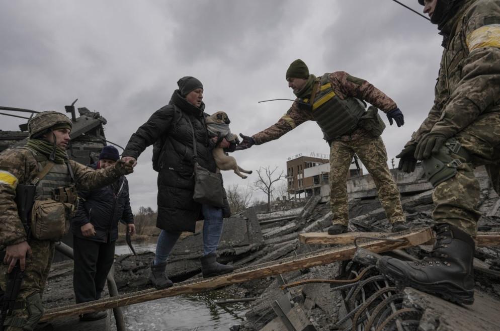 We couldnt leave them: Ukraine refugees flee with pets in tow
