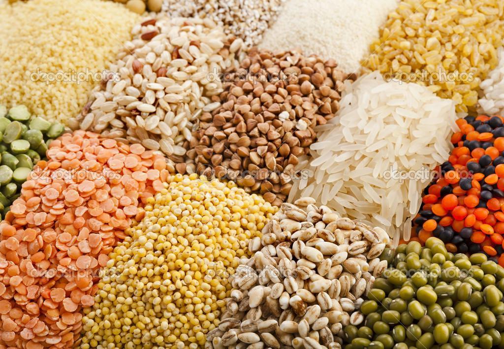 Russia limits exports of grains to ex-Soviet republics