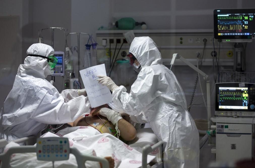 Turkey reports 24,614 new coronavirus cases, 115 more deaths