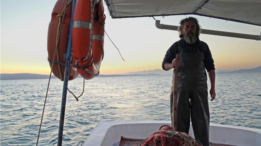 WWF shoots documentary on Turkish artisanal fishery