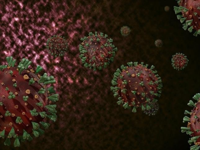 New COVID variant’s impact to be seen in two weeks, say experts