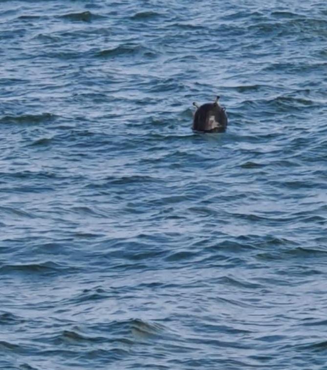 Another mine found, defused in Black Sea