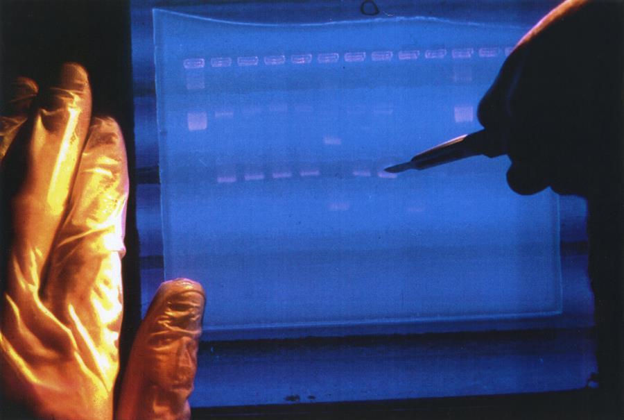 Scientists finally finish decoding entire human genome