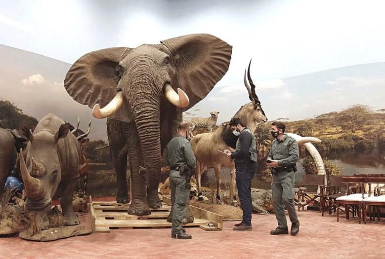 Spain probes private taxidermy museum with 1,000 animals