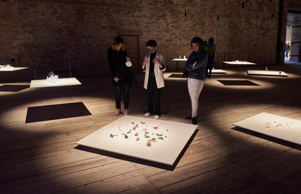 Turkish Pavilion opens at Venice Biennale