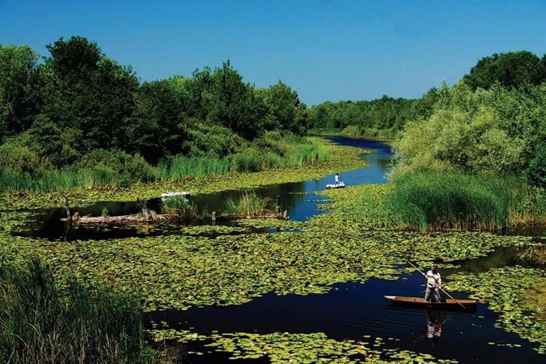 Sakarya to attract tourists with ‘green tourism’: Mayor