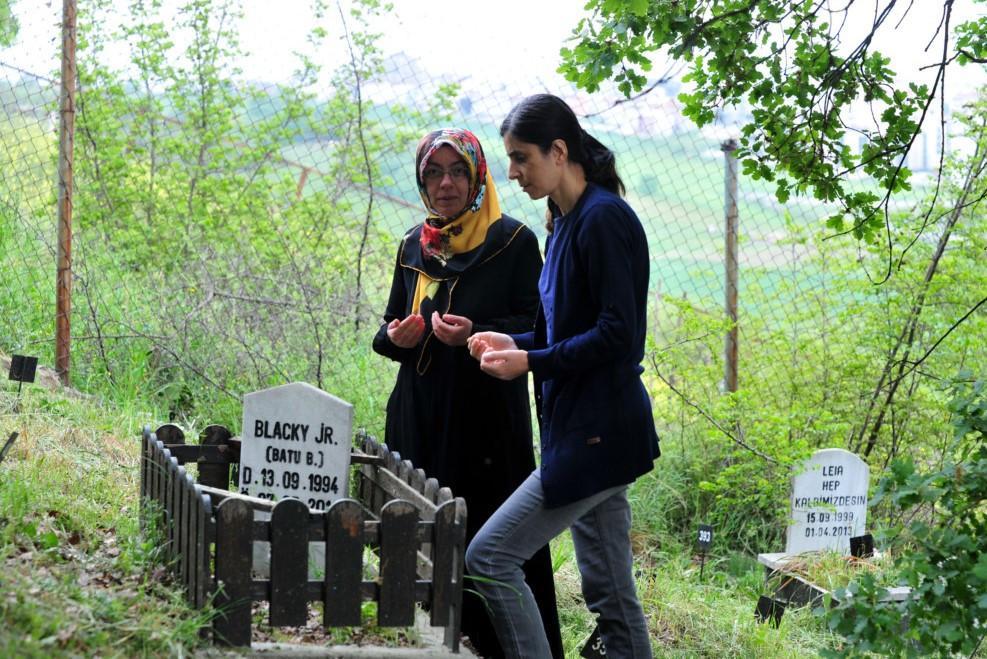 Turkey’s first pet cemetery filled with cat, dog graves