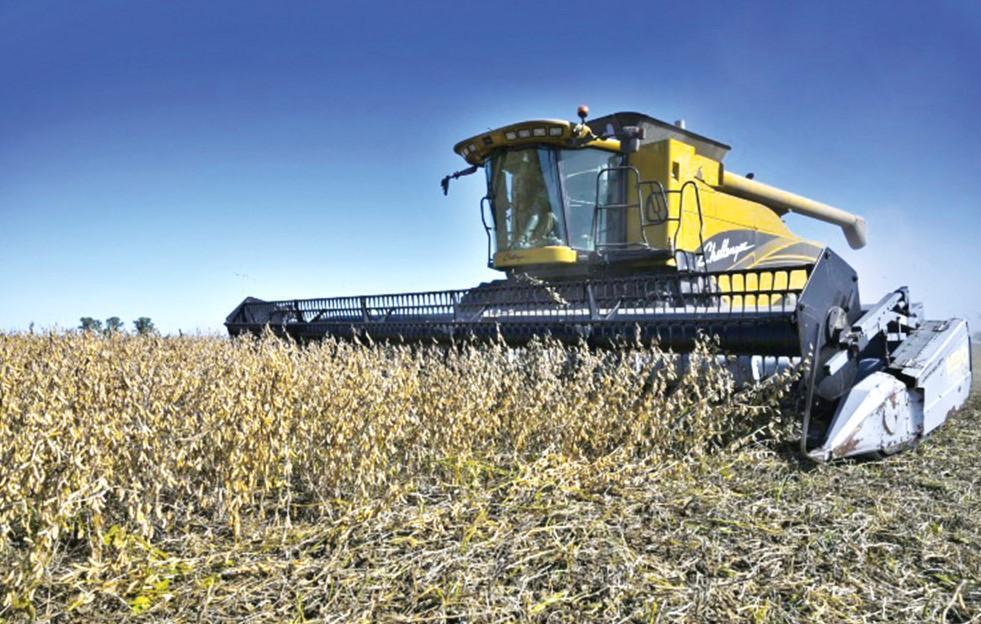 Soy boon for Argentina as Ukraine war boosts prices