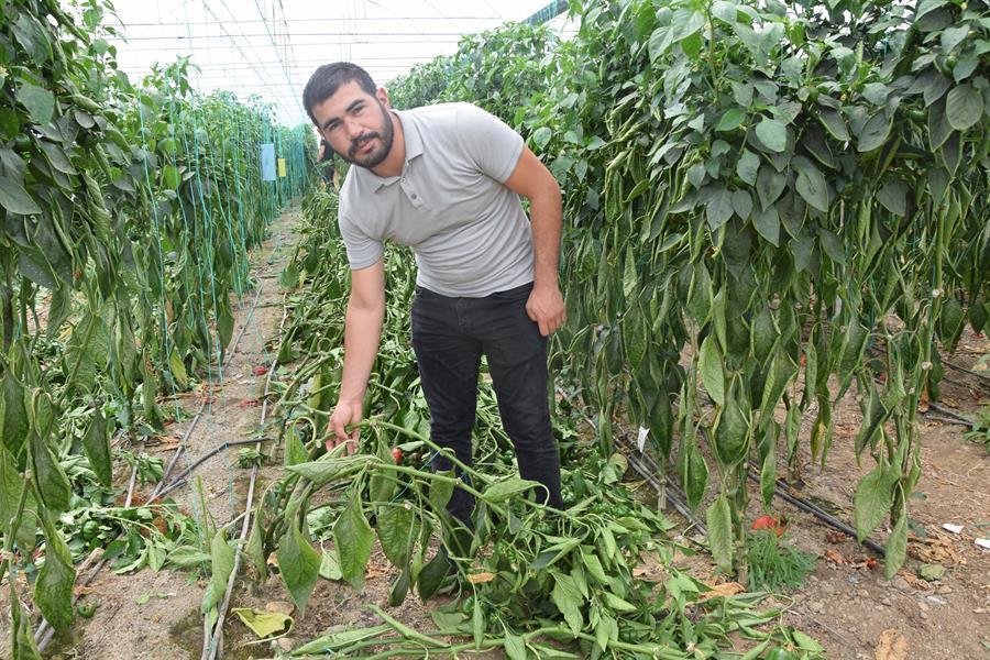 Farmers in Antalya see revival in demand from Russia