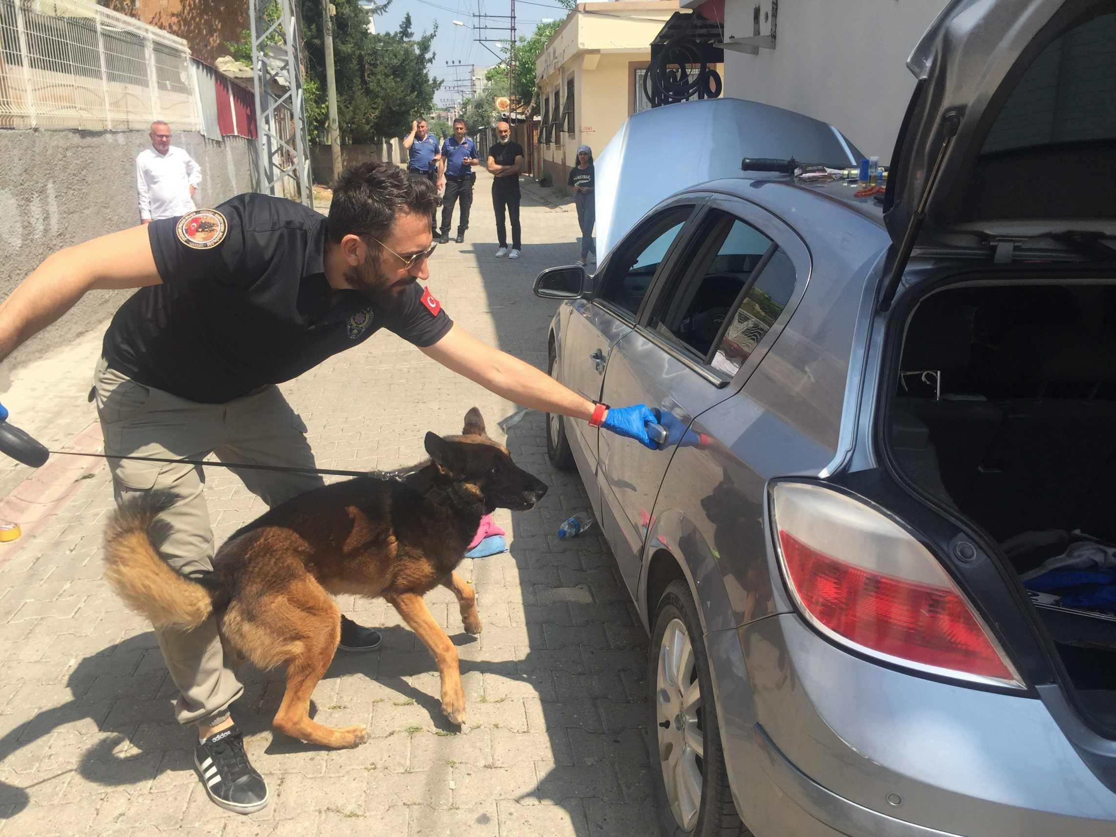 Turkey using AI software ASENA in fight against drugs