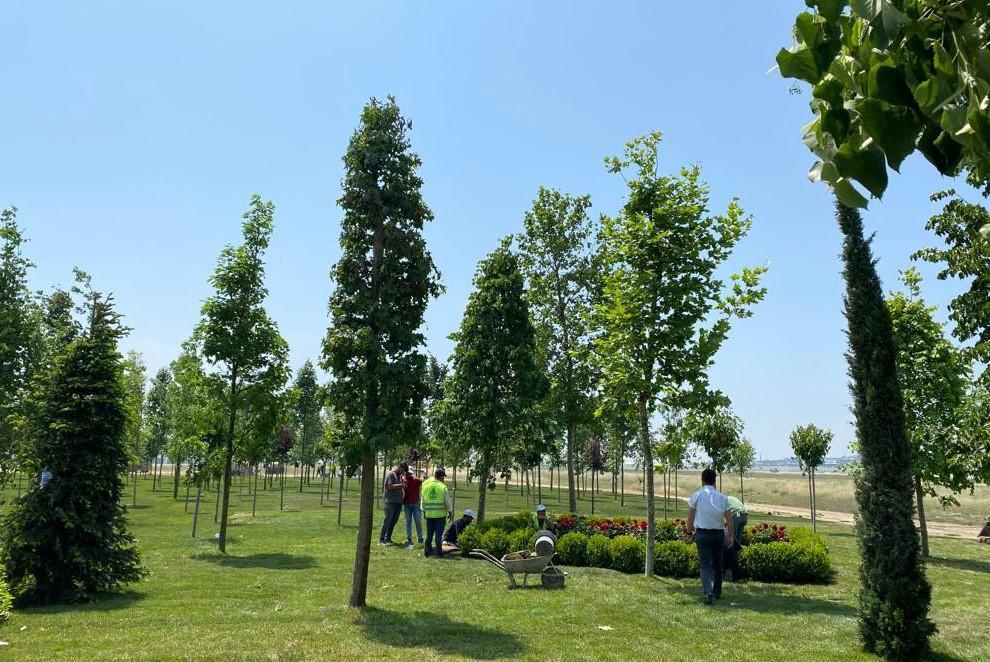 First saplings in ‘Turkey’s biggest national park’ planted with official ceremony