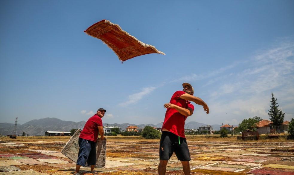 Hot weather starts ‘Carpet field’ season early
