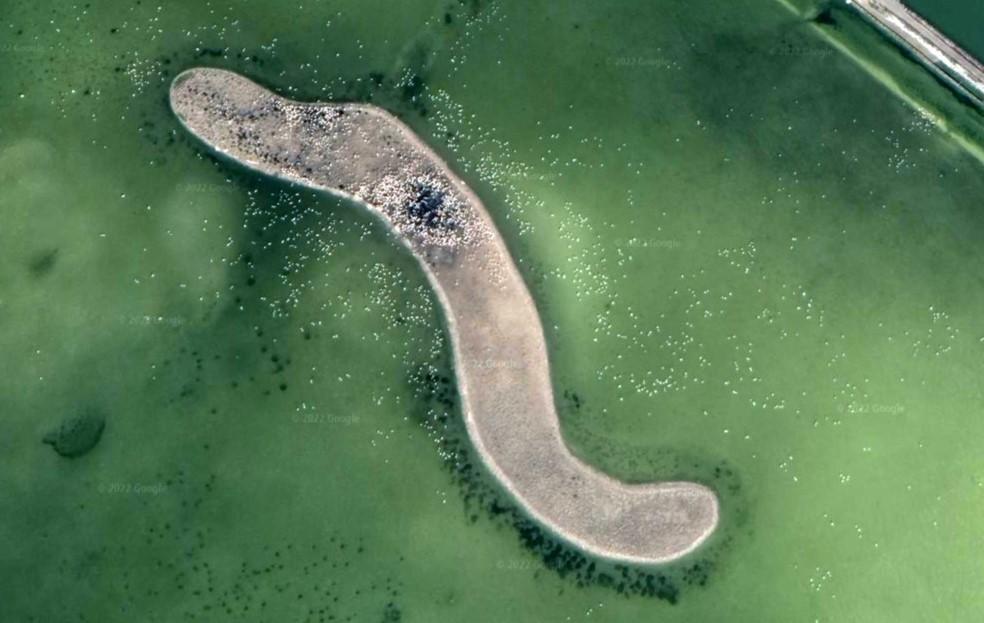 Flamingos in Gediz Delta tracked via Google Earth