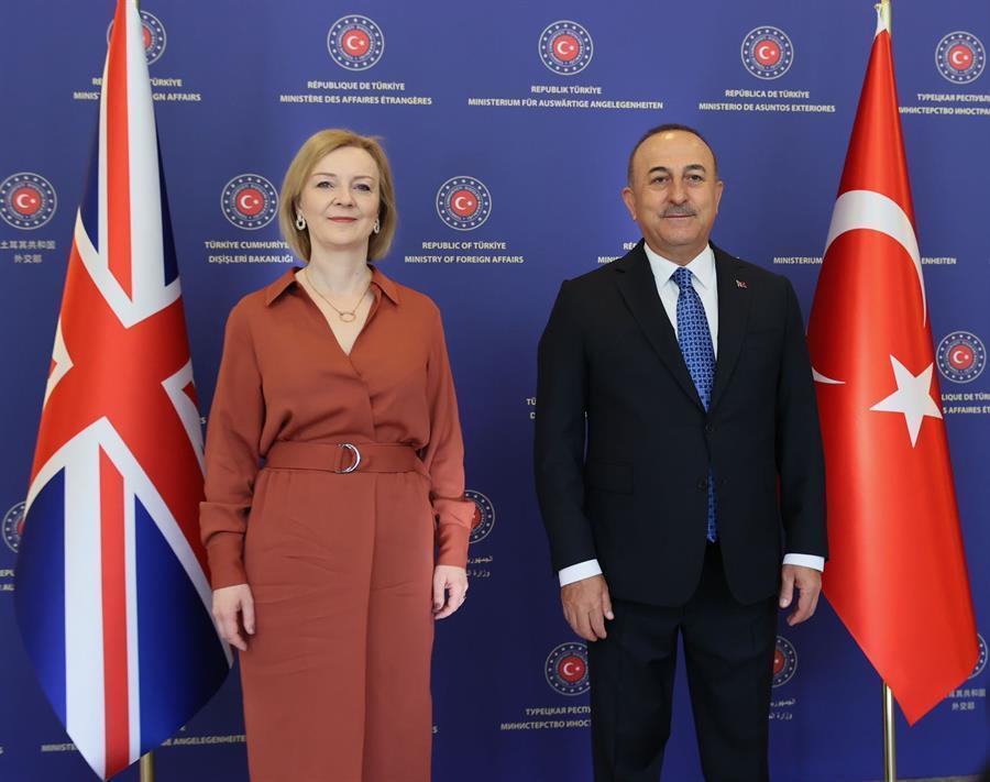 Türkiye continues efforts for export of Ukrainian grain: Turkish FM