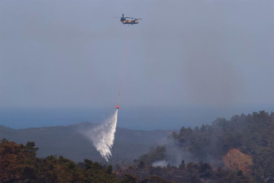 Arsonist behind Marmaris wildfires arrested