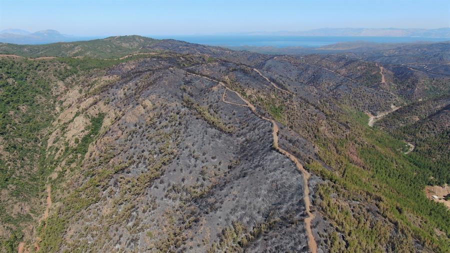 Marmaris wildfire completely under control: Minister