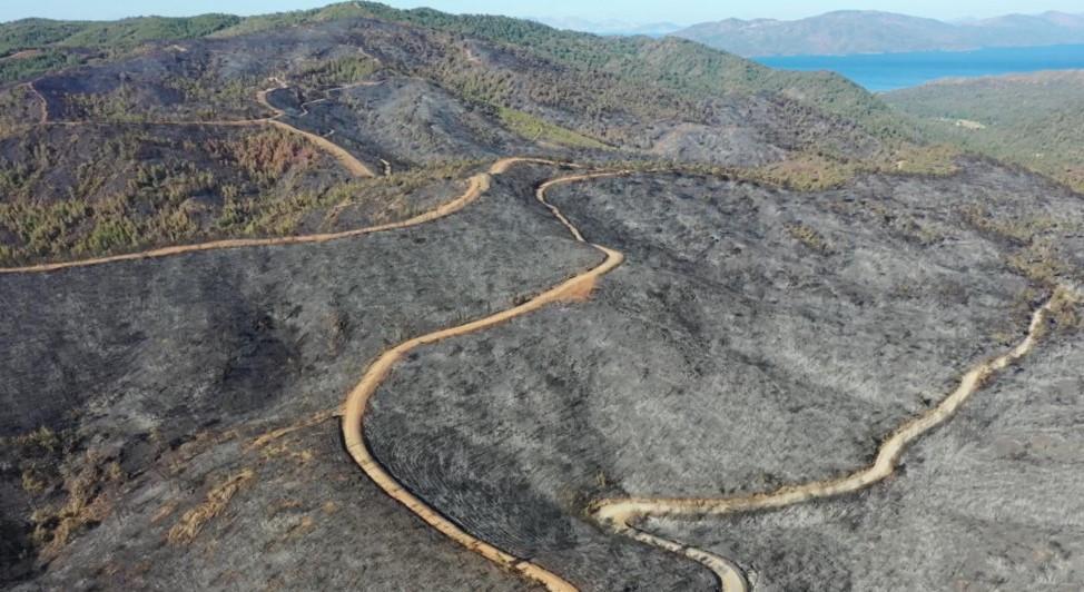 Some 4,500 hectares of land burned in Marmaris wildfires