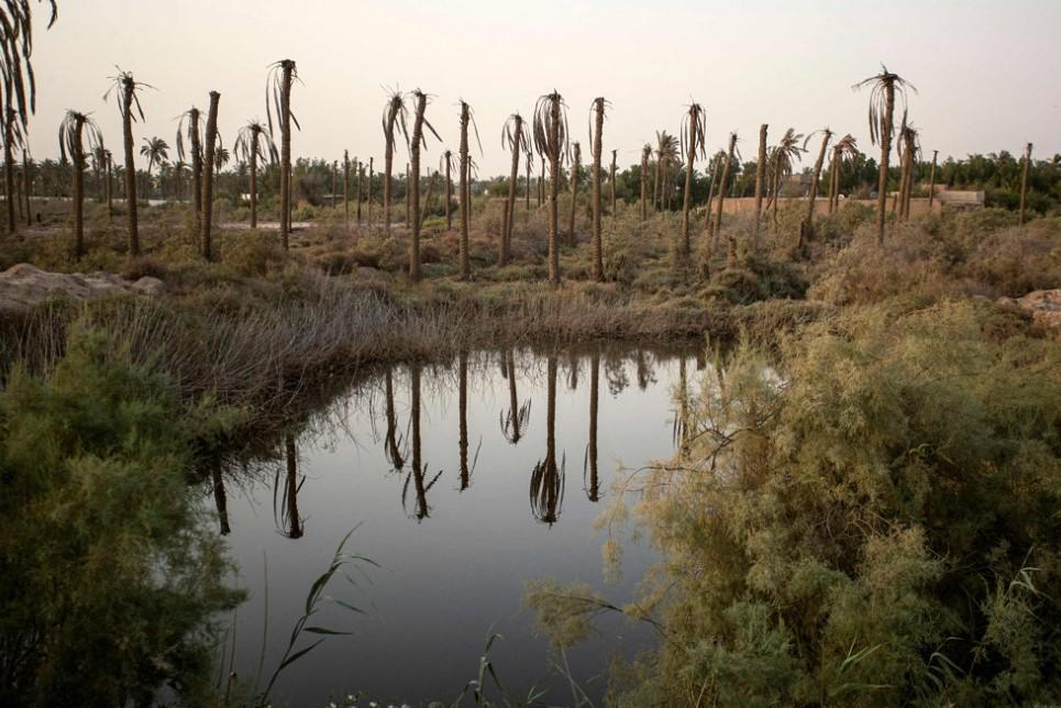Baghdad asks Ankara to release more water