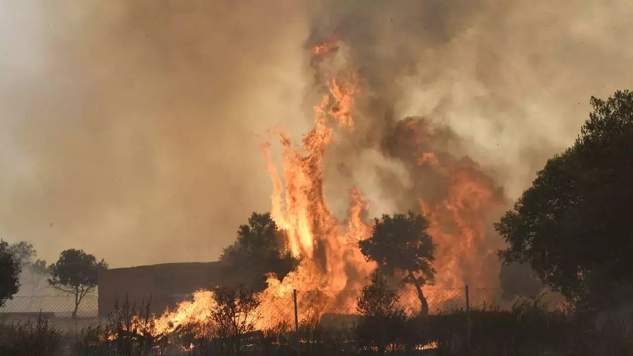 Europe burns as heatwave breaks temperature records