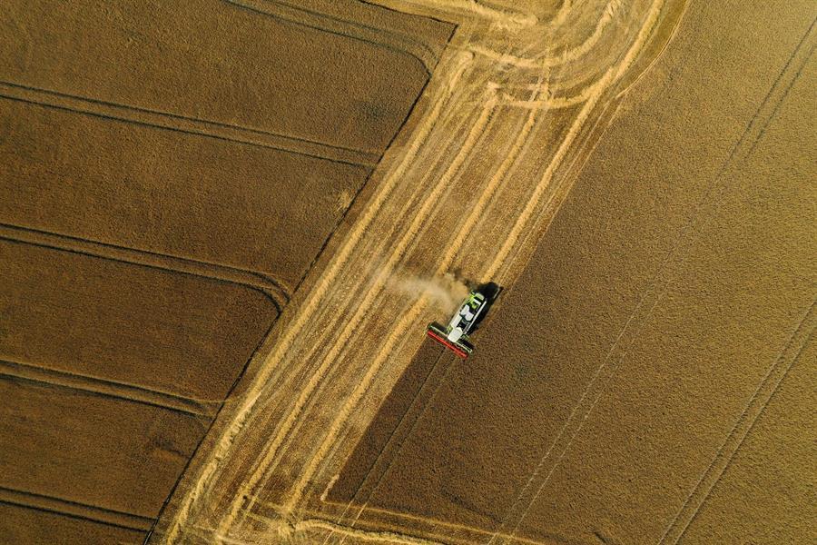 Russia’s Putin thanks Erdoğan over efforts for grain corridor