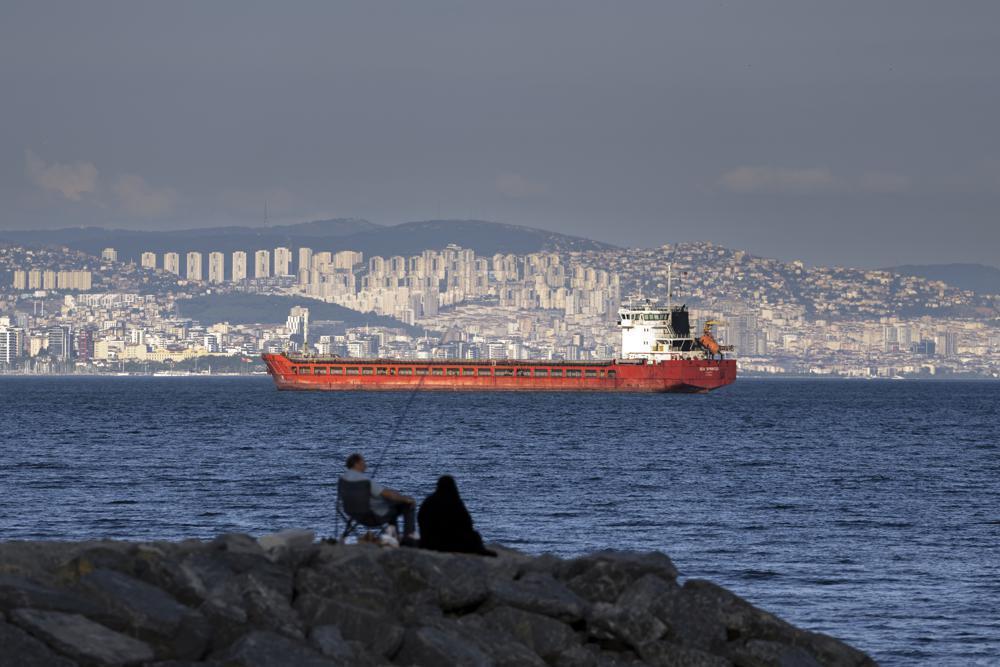 Ukraine says Syrian ship docks in Lebanon with stolen grain