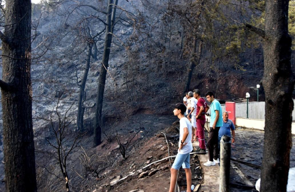 Wildfire in Türkiye’s southwest spreads to hotel; no one hurt