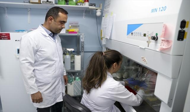 Turkish scientist to contribute to cancer treatments