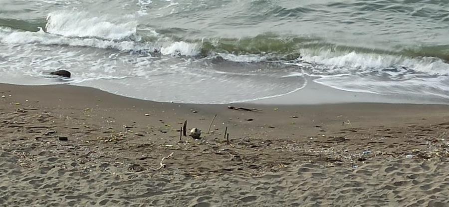 Bomb squad destroys suspicious object on Black Sea coast