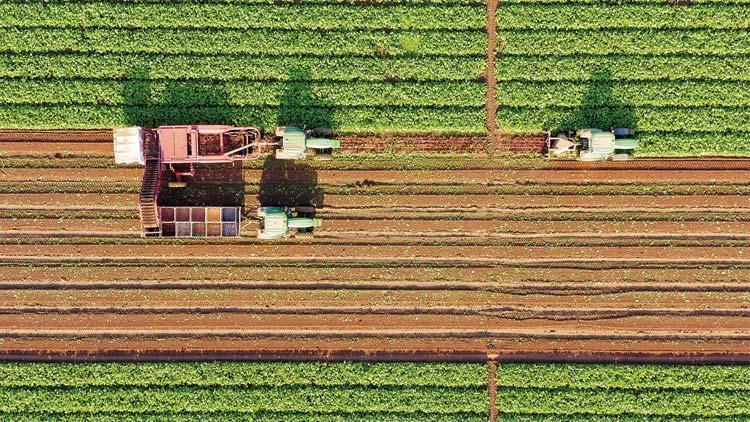 Land plot prices soar as people seek alternative investment