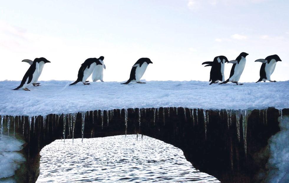 Lowest July Antarctic sea ice on record