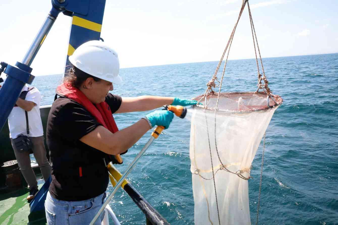 Experts warn of oxygen-starved Marmara Sea