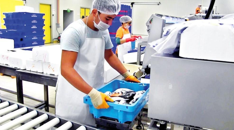 Aquaculture exports at $1.4 billion already exceed 2023 target