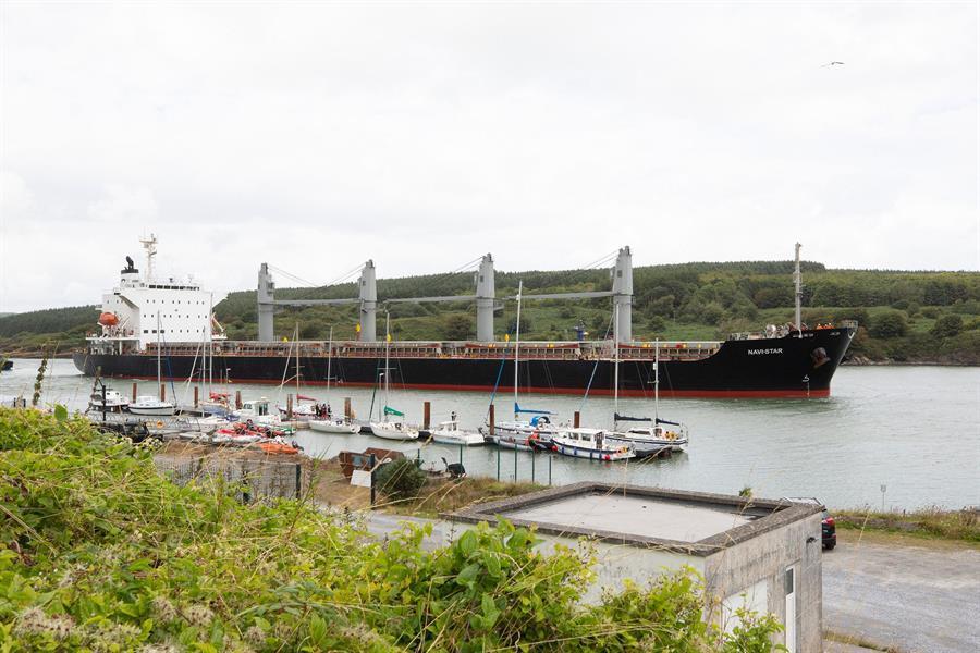 Two more grain ships leave Ukraine: Türkiye
