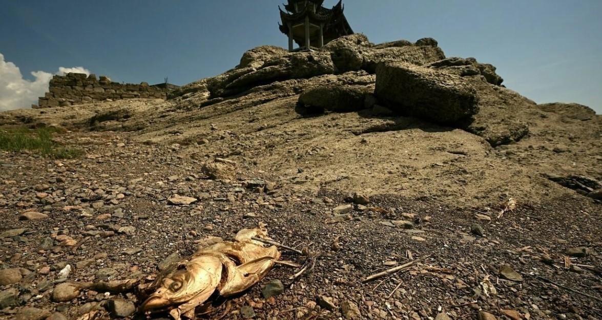 China warns of ‘severe’ threat to harvest from worst heatwave on record