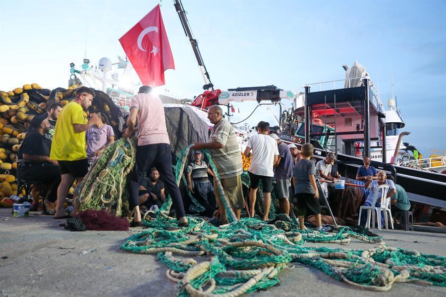 Türkiye’s fishermen cast lines as seasonal ban ends