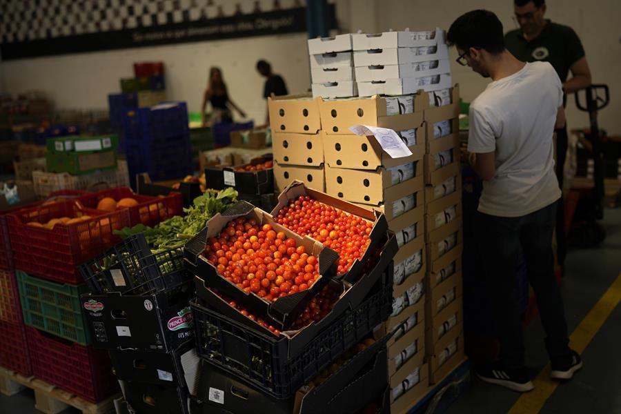 World food prices fall for fifth month in a row: UN