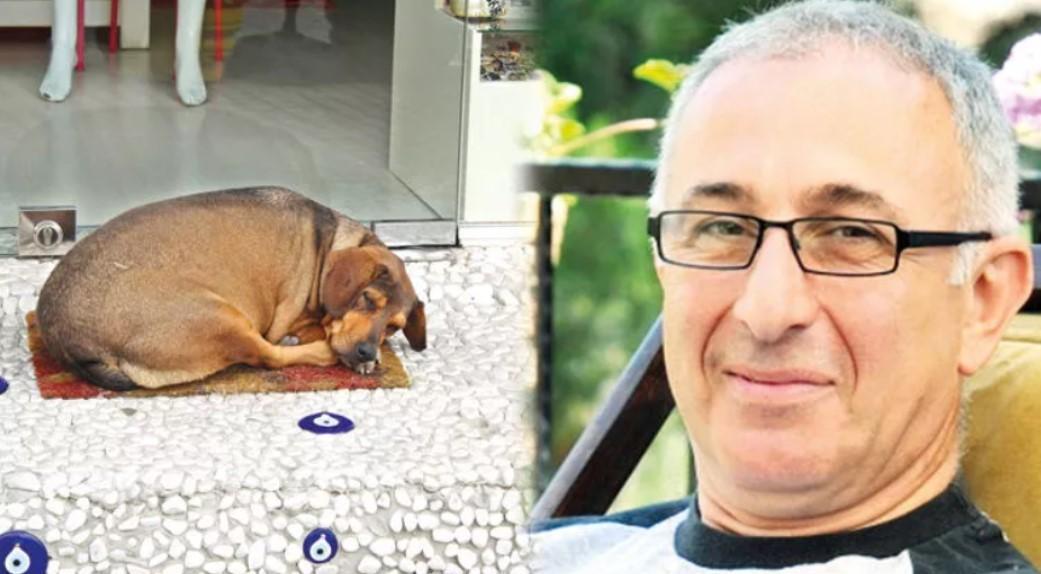 Lecturer sues coffee shop for tripping over sleeping dog