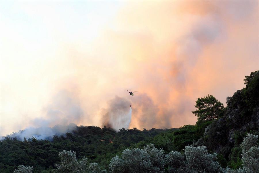 Forest fire in Muğla brought under control in 7 hours