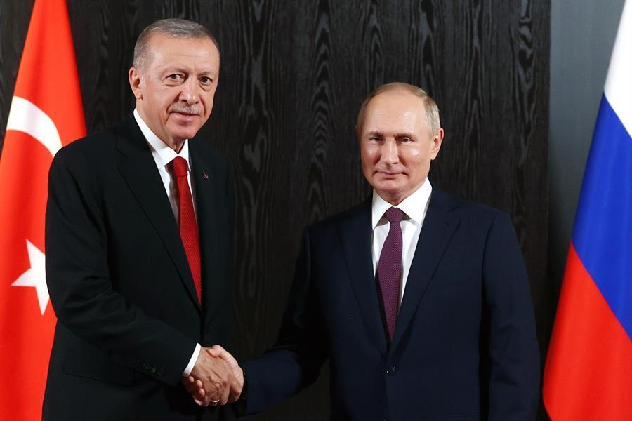 Türkiye to pay for quarter of Russian gas in rubles: Putin