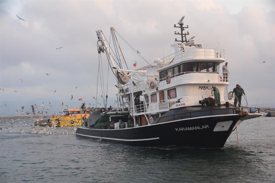 Türkiye should change fishing policy, says expert