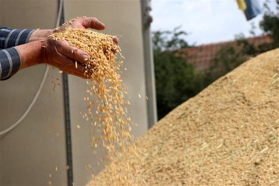 Agricultural input prices up 1.3 percent