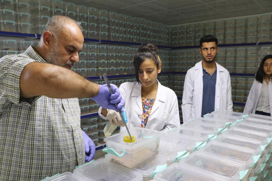 Scorpion venom ‘brings $10 million per liter’