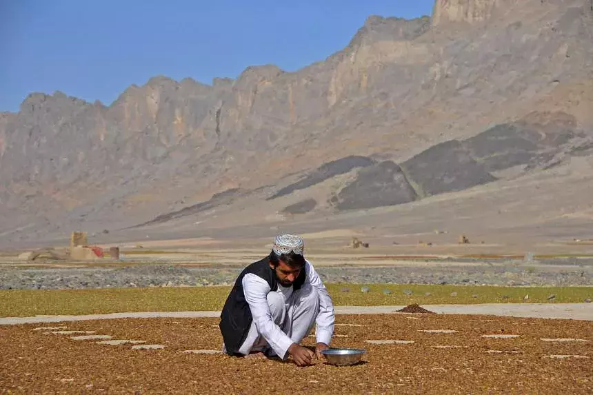 Afghan economy suffers ‘dramatic collapse’