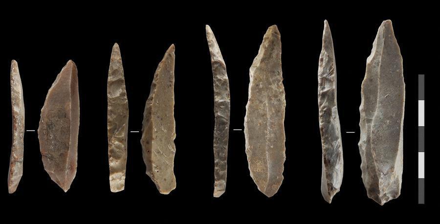 Neanderthals, humans co-existed in Europe for over 2,000 years: Study