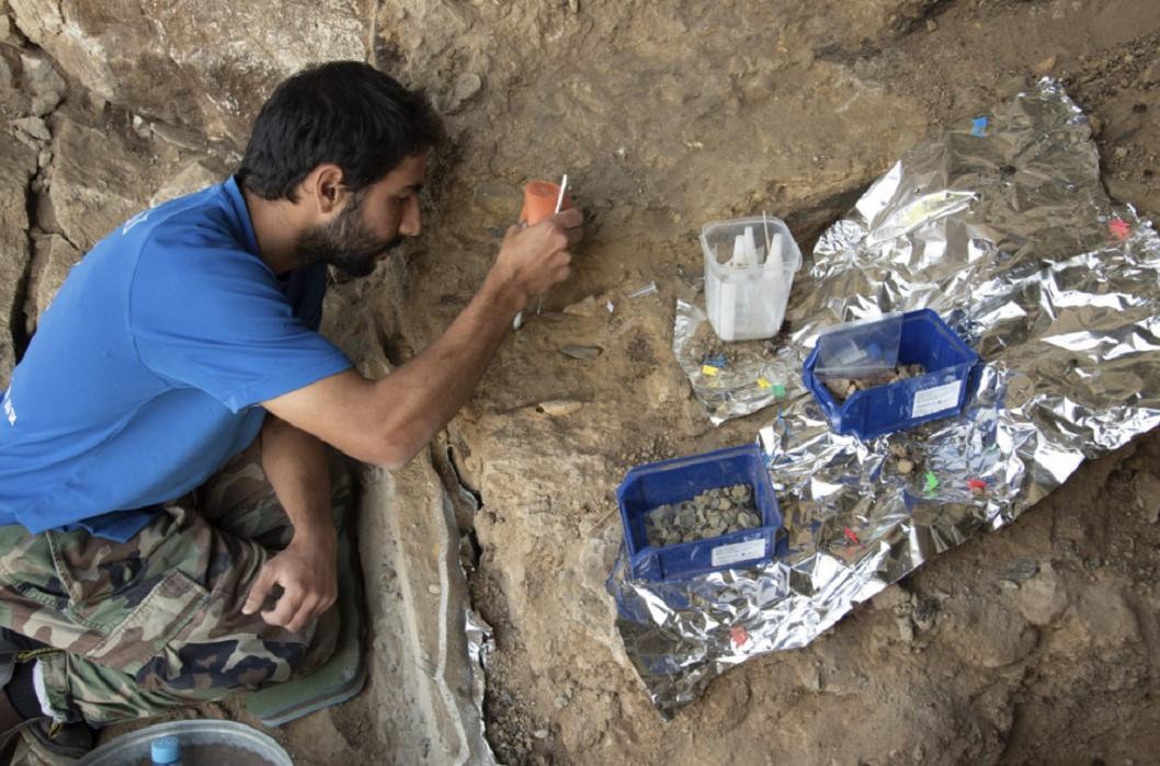 First ‘concrete picture’ of Neanderthal family revealed by DNA