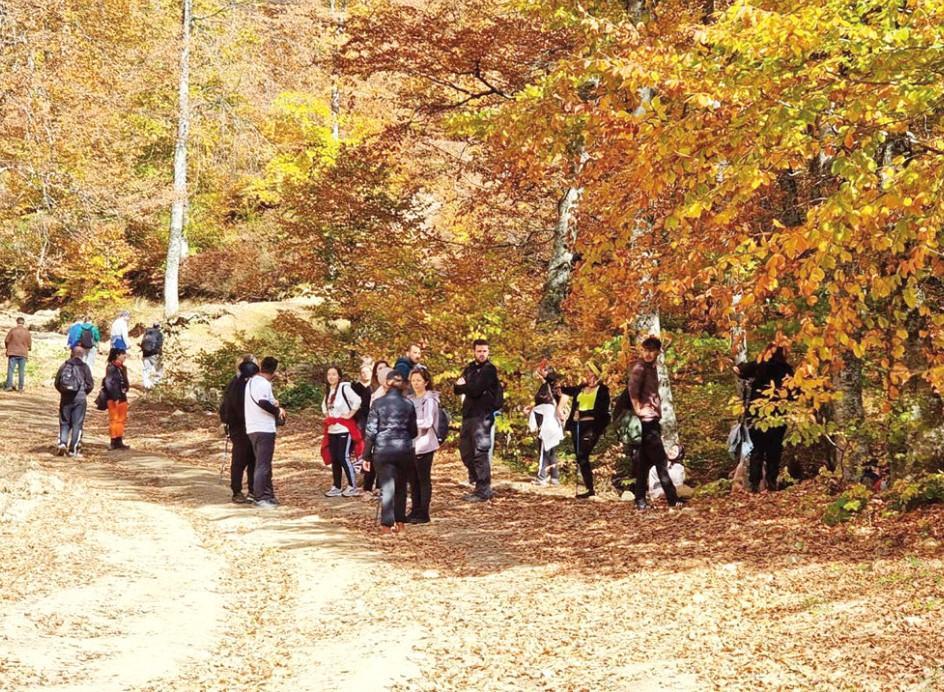 Shutterbugs throng Domaniç Mountains