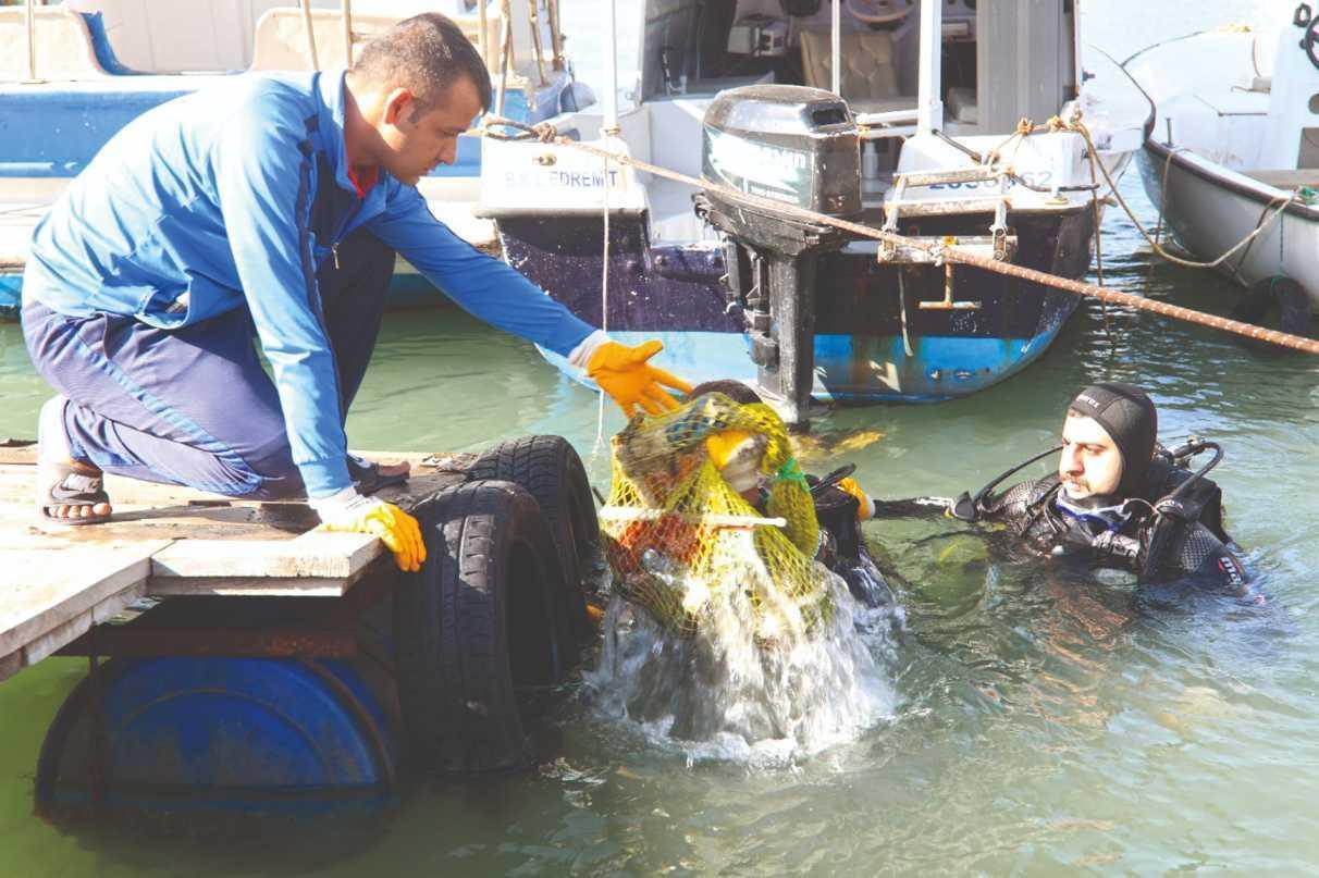 Environmental protection expenditure $3.5 bln in 2021: Data