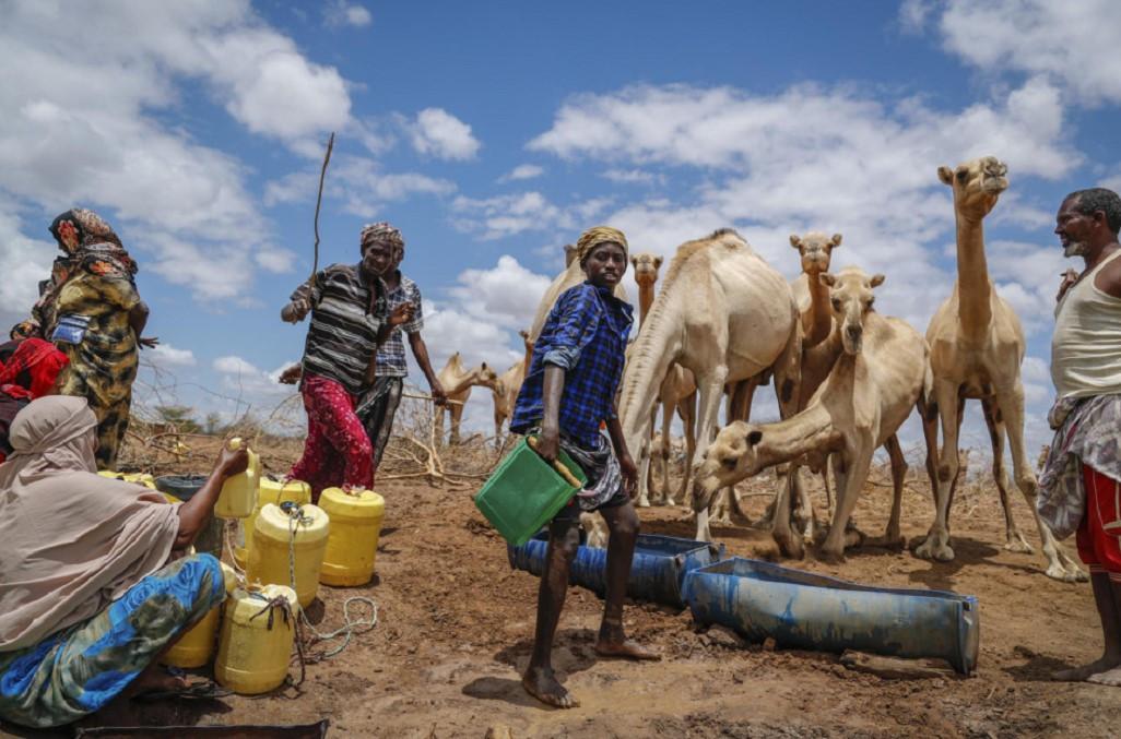 Heat waves cost poor countries the most, exacerbating inequality