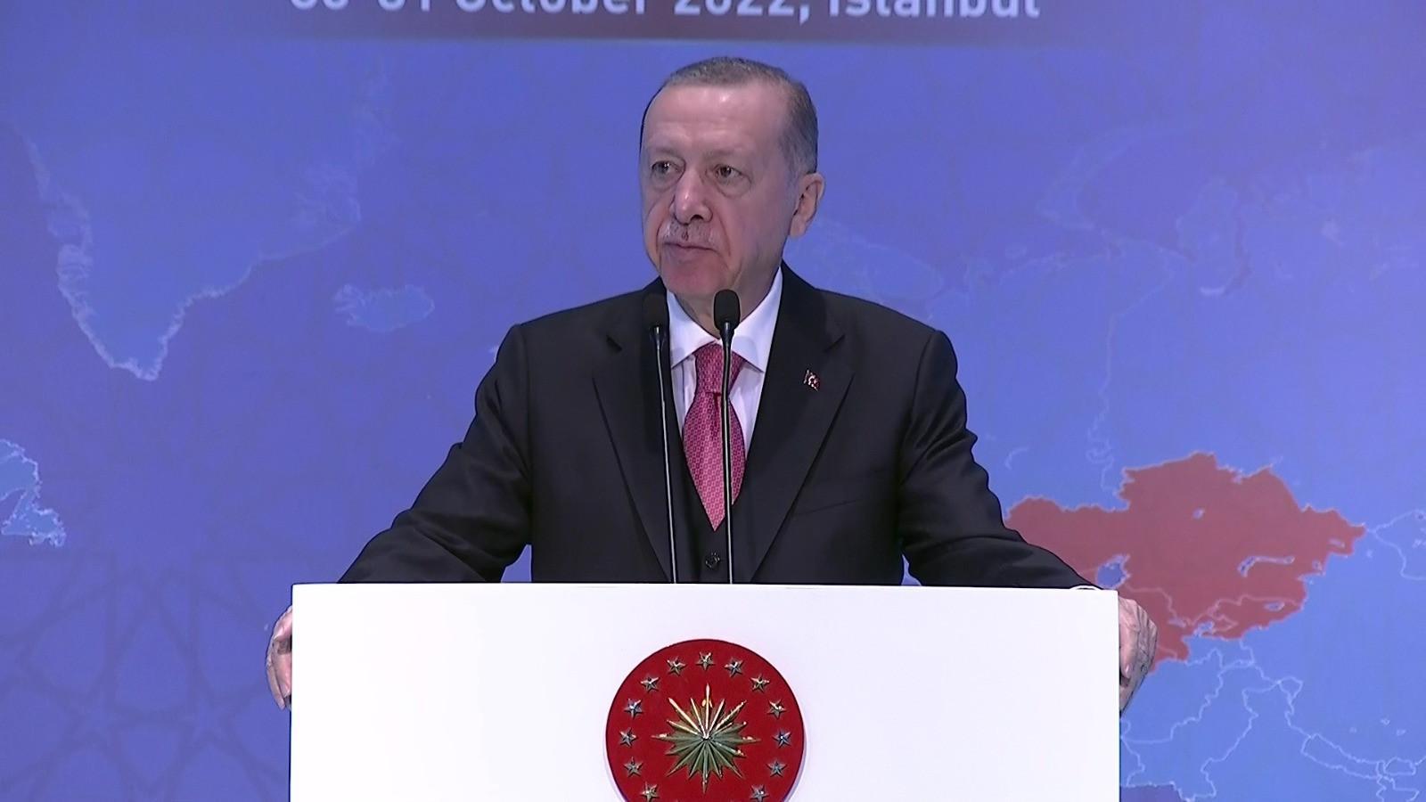 Türkiye to continue efforts to ease global food crisis: Erdoğan